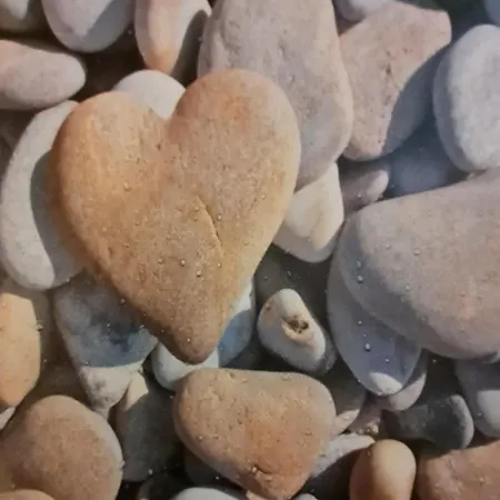 Apartment Schwalbennest - A67824