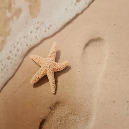 Apartment Schwalbennest - A67824 *